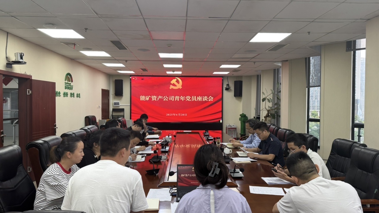 能矿资产公司青年党员深学笃行集团公司作风建设“32字”要求